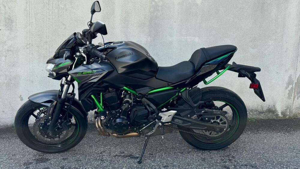 Kawasaki Z 650 Performance (2021 - 24)