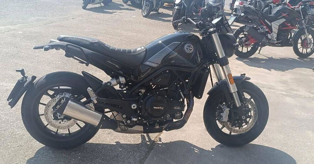 Benelli Leoncino 500 (2021 - 24)