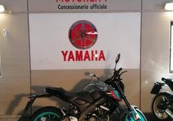 Yamaha MT-125 (2021 - 24) usata