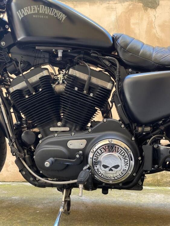 Harley-Davidson 883 Iron (2014 - 16) - XL 883N (4)