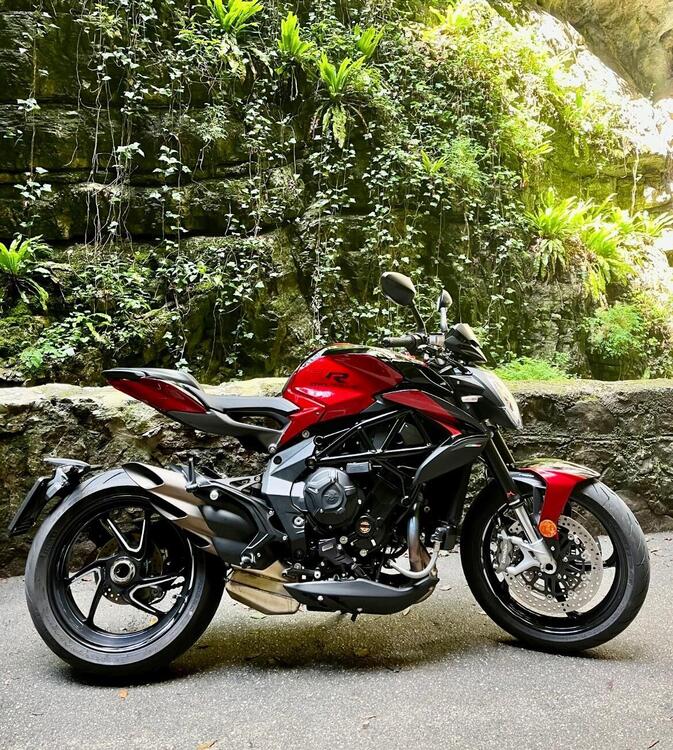 MV Agusta Brutale 800 RR (2021 - 24)