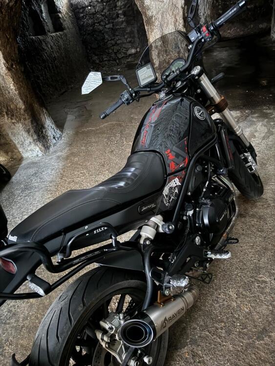 Benelli Leoncino 500 (2021 - 24)