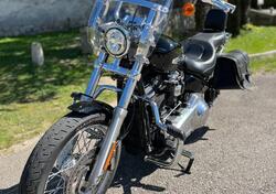 Harley-Davidson Softail Standard (2021 - 24) usata