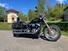 Harley-Davidson Softail Standard (2020) - FXST (6)