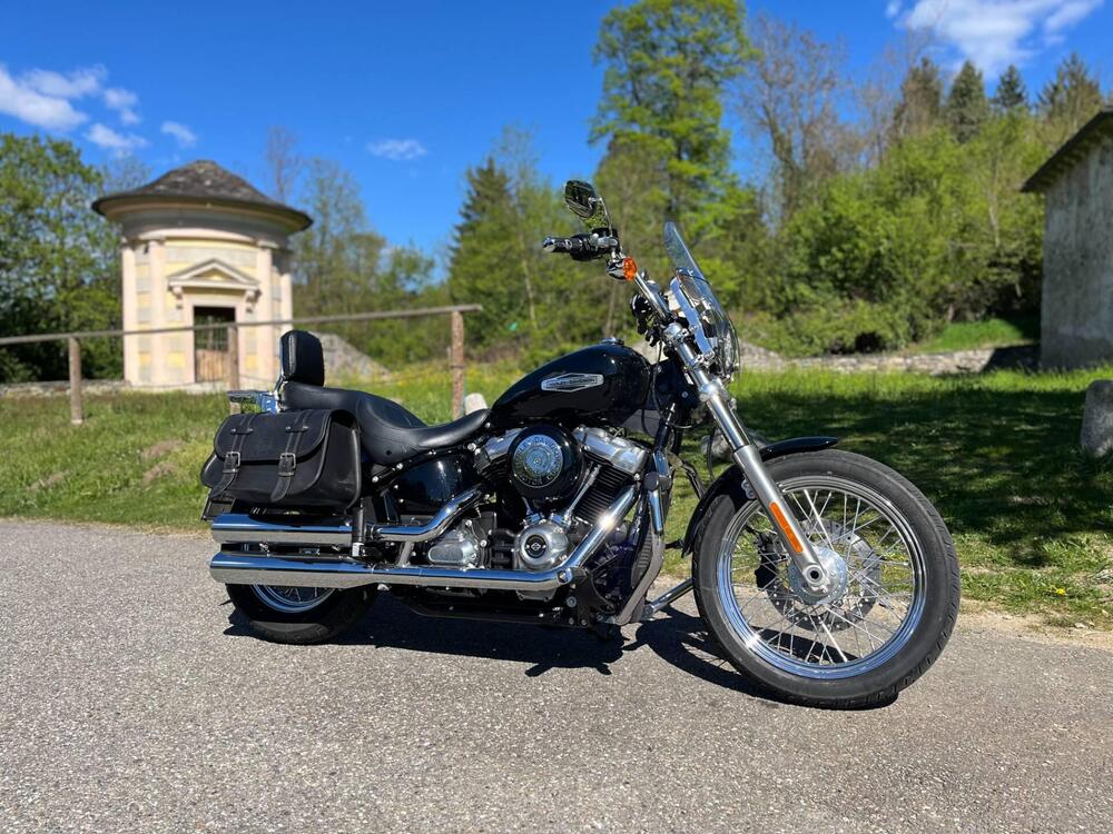 Harley-Davidson Softail Standard (2020) - FXST (3)