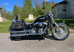 Harley-Davidson Softail Standard (2020) - FXST usata