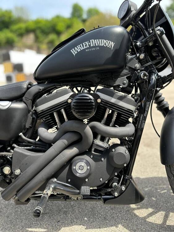 Harley-Davidson 883 Iron (2012 - 14) - XL 883N (4)