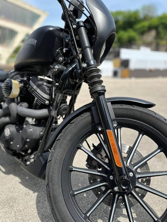 Harley-Davidson 883 Iron (2012 - 14) - XL 883N (5)