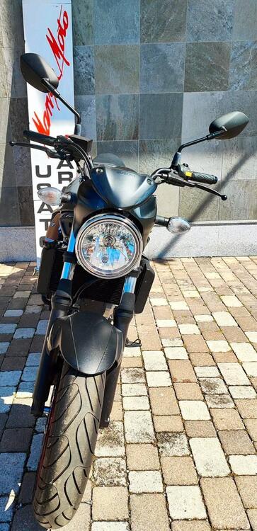 Suzuki SV650 (2021 - 24) (5)