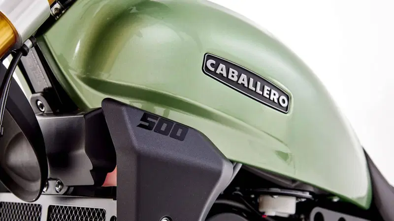 Fantic Motor Caballero 500 Rally (2025 - 26) (5)