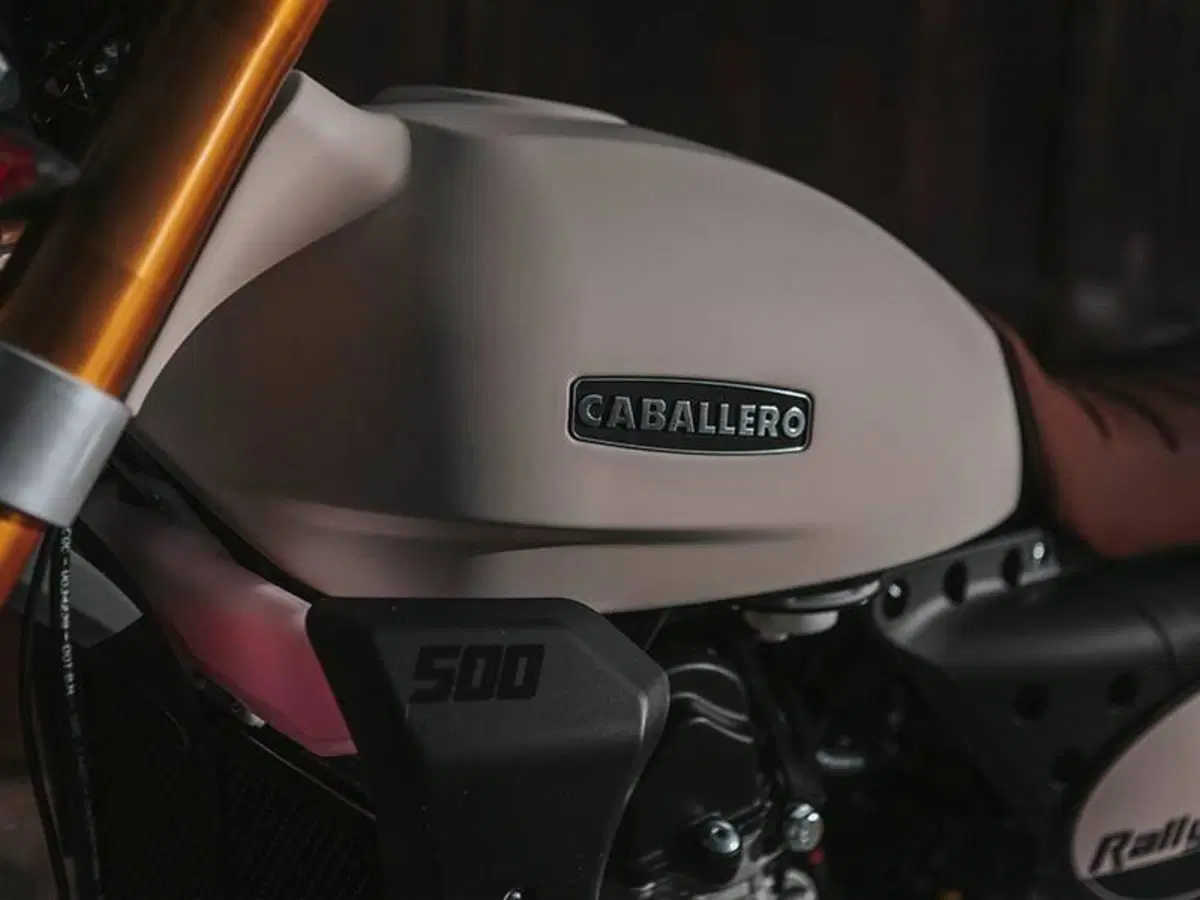 Fantic Motor Caballero 500 Rally (2025 - 26) (9)