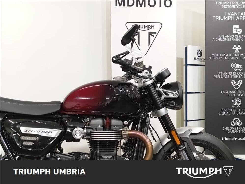 Triumph Speed Twin 1200 (2021 - 24)