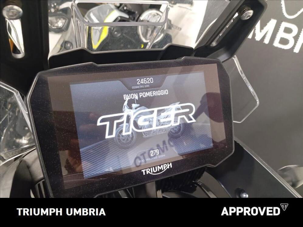 Triumph Tiger 900 Rally (2020 - 23) (4)