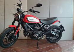 Ducati Scrambler 800 Icon (2017 - 20) usata