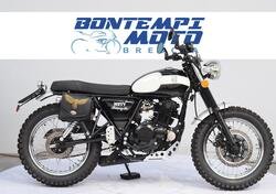 Mutt Motorcycles GT-SS 250 (2022 - 24) usata