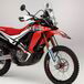 Honda CRF 250 Rally. Aspettando la 450 di serie