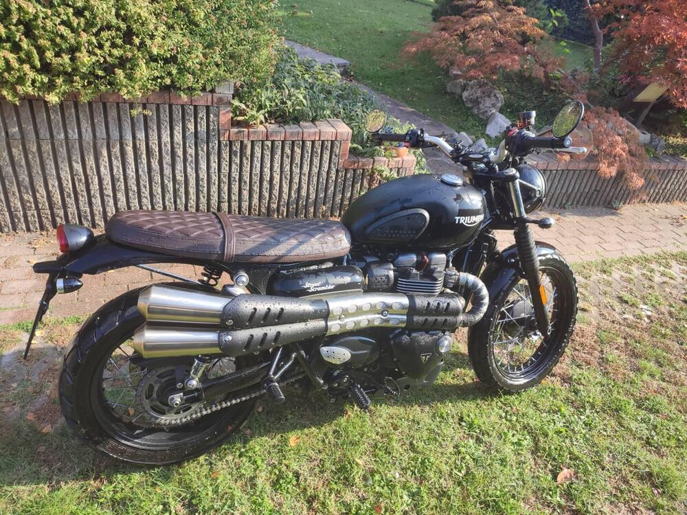 Triumph Street Scrambler 900 (2017 - 18) (2)