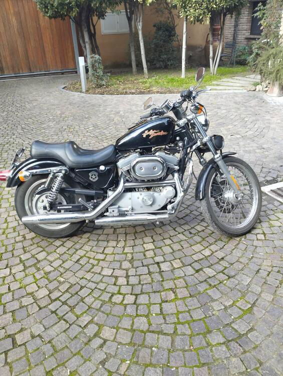 Harley-Davidson 883 Custom (2001 - 05) - XL 53C (2)