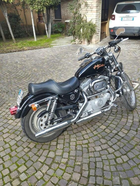 Harley-Davidson 883 Custom (2001 - 05) - XL 53C (5)