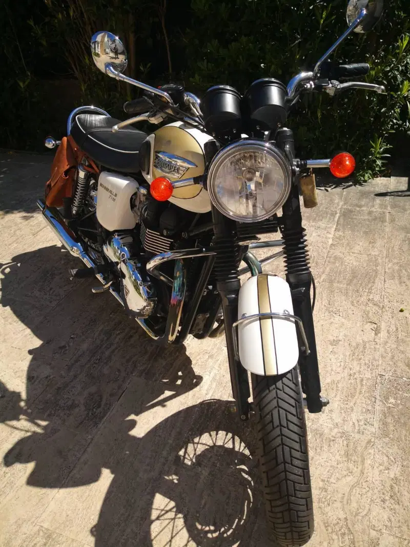 Triumph Bonneville T100 (2008 - 16) (3)