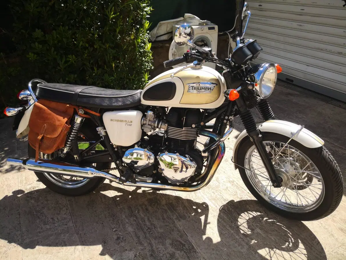 Triumph Bonneville T100 (2008 - 16) (6)