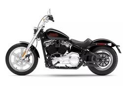 Harley-Davidson Softail Standard (2021 - 24) nuova