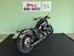 Harley-Davidson 1690 Slim (2017) - FLS (9)