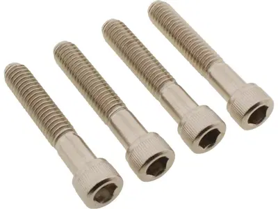 Viti parafango anteriore inox per Softail Deluxe d 