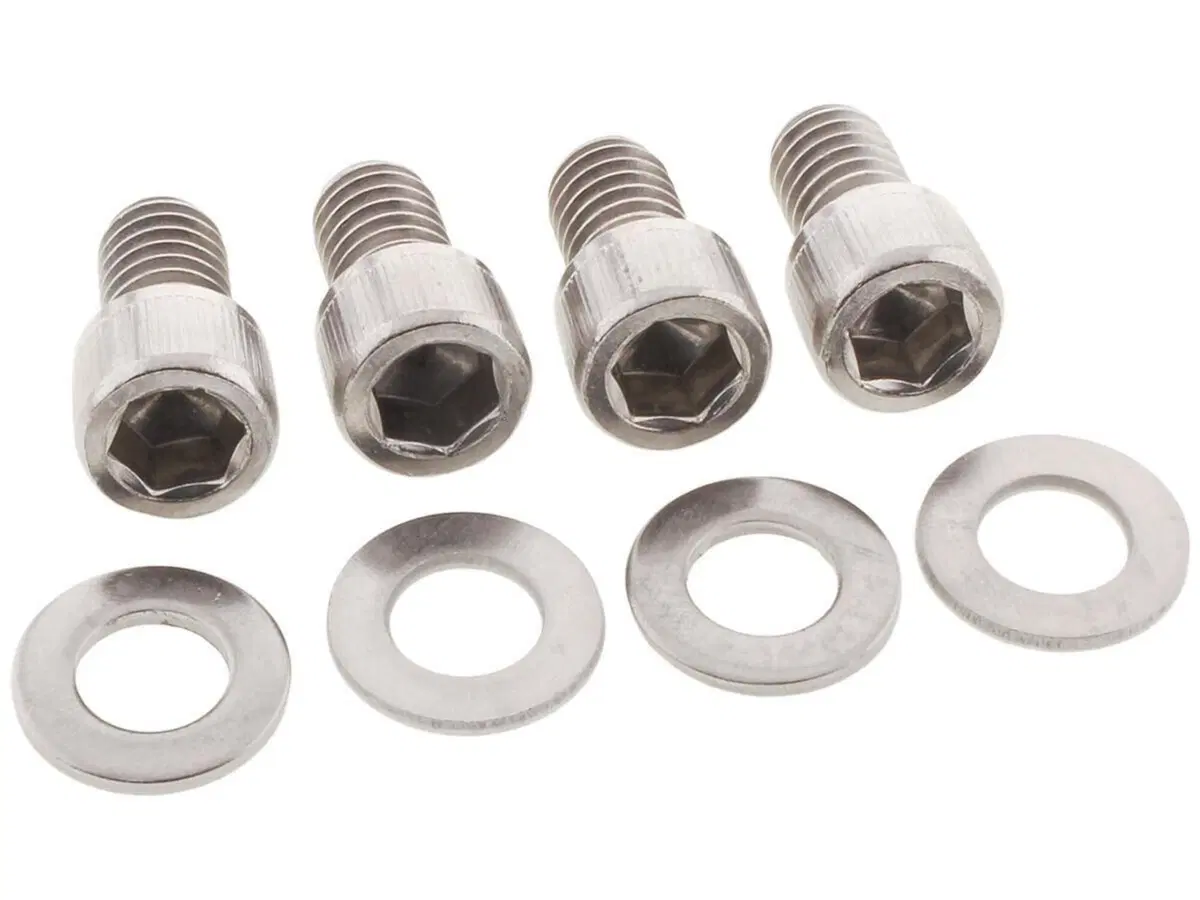 Viti parafango anteriore inox per Softail Breakout 