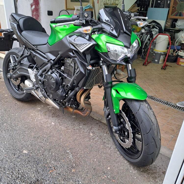 Kawasaki Z 650 (2020) (4)