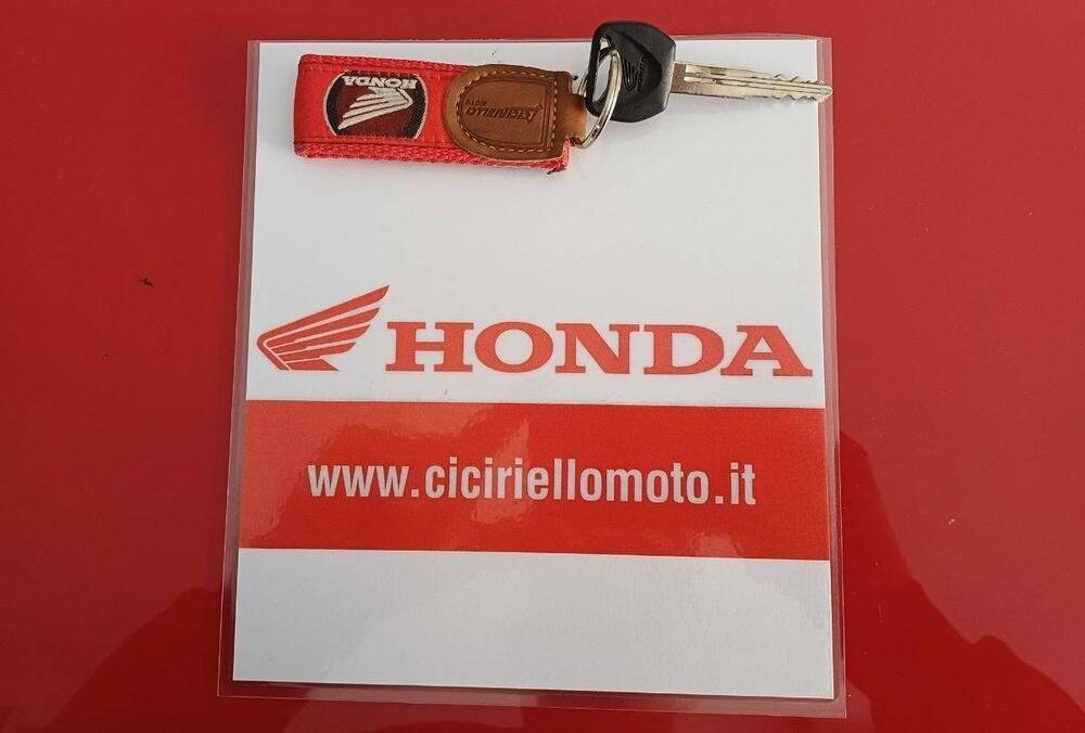 Honda CRF 300 L (2021 - 24) (3)