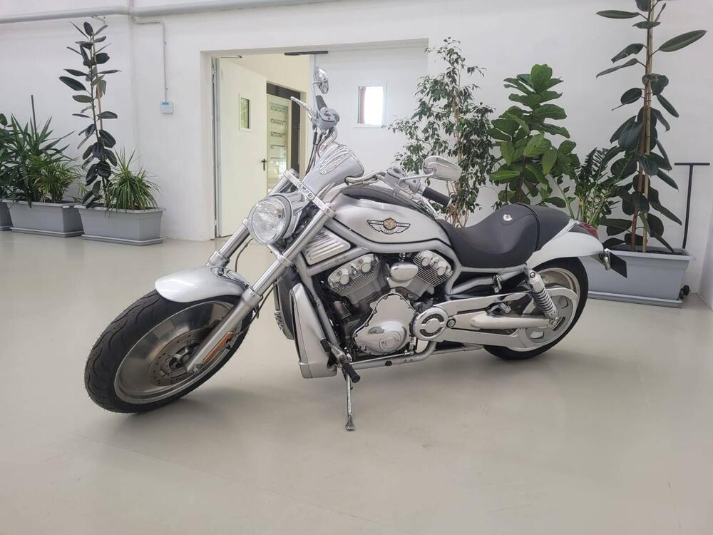 Harley-Davidson 1130 V-Rod (2002 - 05) - VRSCA (3)