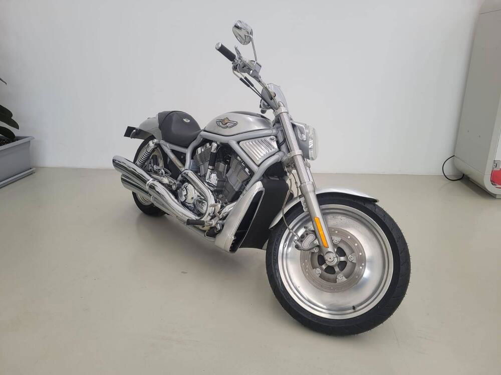 Harley-Davidson 1130 V-Rod (2002 - 05) - VRSCA