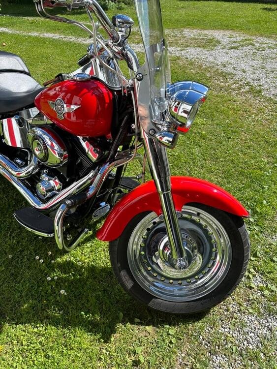 Harley-Davidson 1690 Fat Boy Special (2010 - 17) - FLSTF (2)