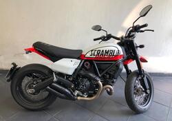 Ducati Scrambler 800 Urban Motard (2022) usata