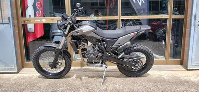 Betamotor Alp X (2024 - 26) nuova