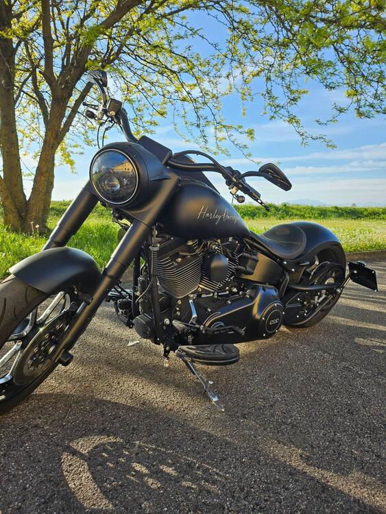 Harley-Davidson 1690 Fat Boy Special (2010 - 17) - FLSTF (2)