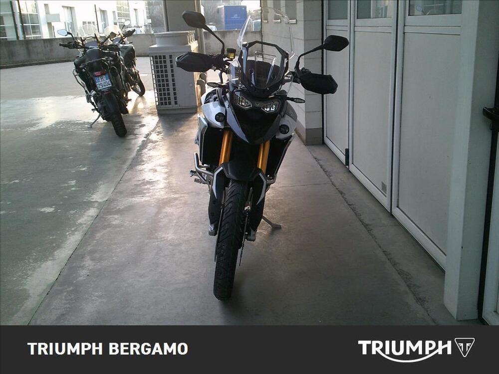 Triumph Tiger 900 Rally Pro (2024) (4)