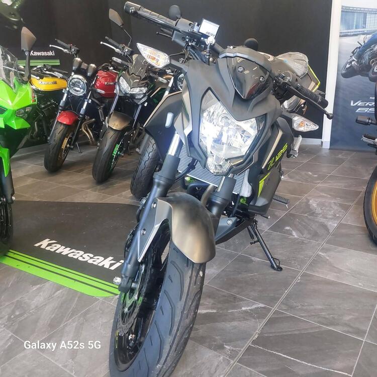 Kawasaki Z 125 (2021 - 24) (4)