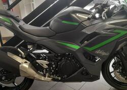 Kawasaki Ninja 500 SE (2024) nuova