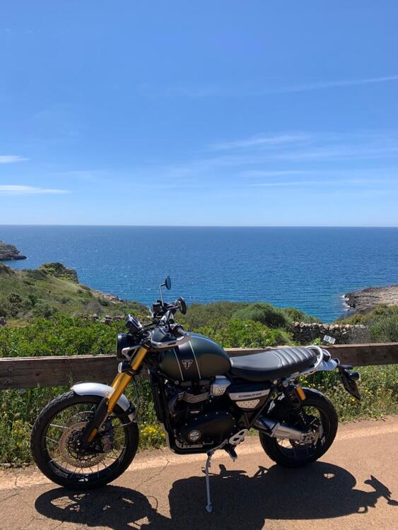 Triumph Scrambler 1200 XE (2021 - 23) (2)