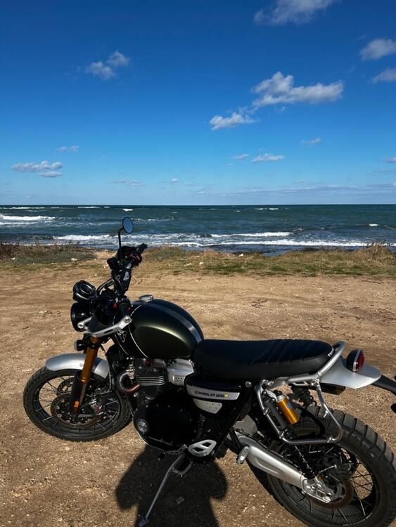 Triumph Scrambler 1200 XE (2021 - 23) (3)