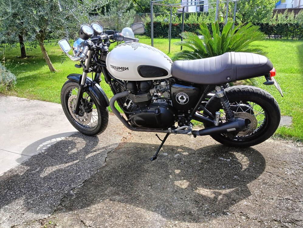 Triumph Thruxton 900 ACE (2014 - 15) (3)