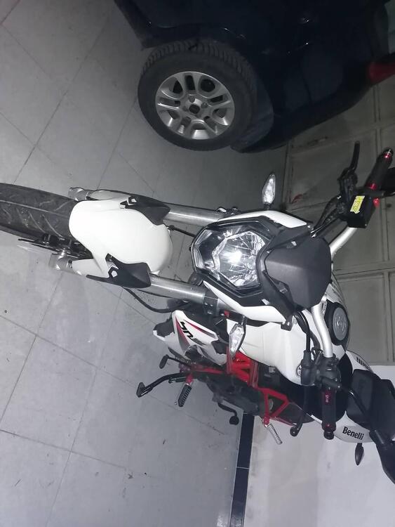 Benelli BN 125 (2018 - 20) (4)