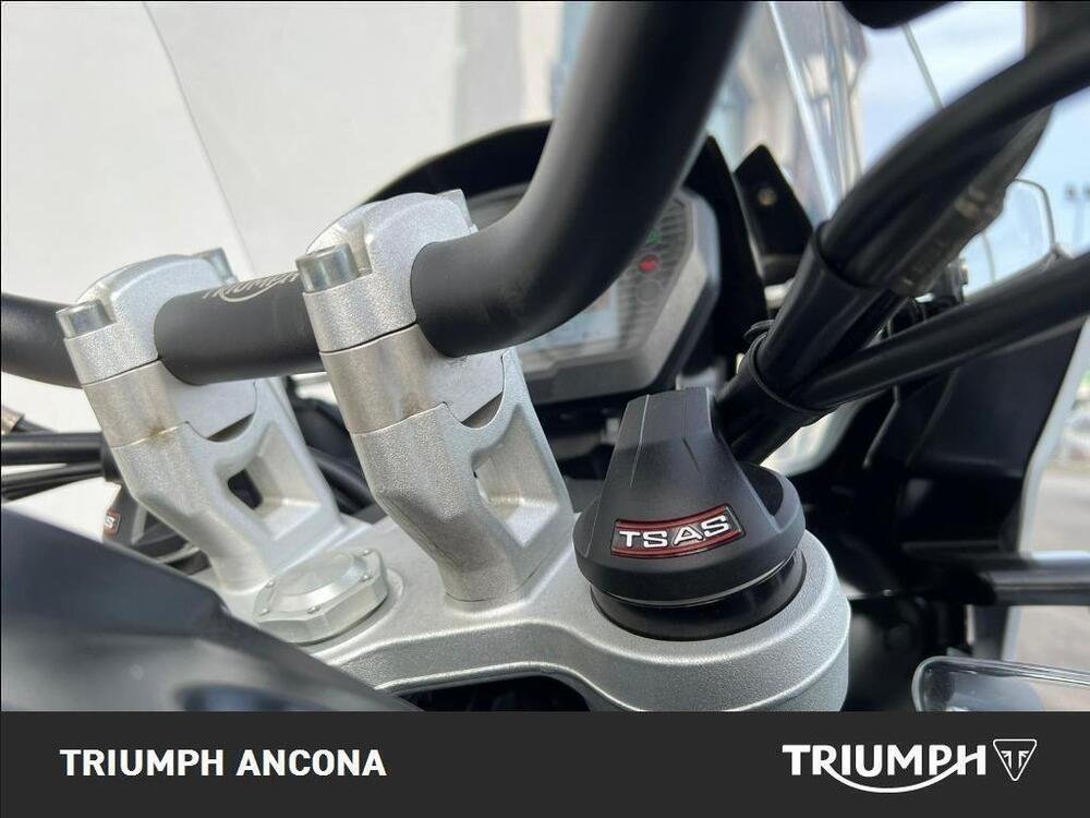 Triumph Tiger 1200 Alpine Edition (2020) (2)