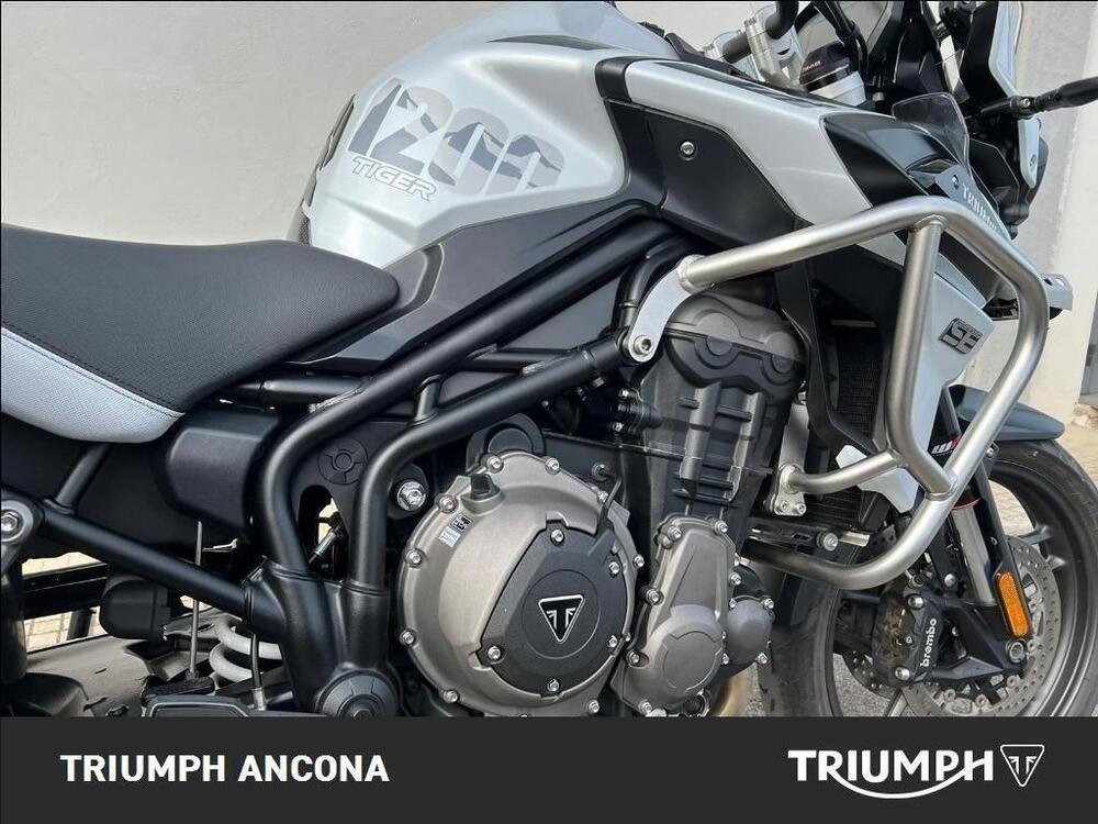 Triumph Tiger 1200 Alpine Edition (2020) (4)