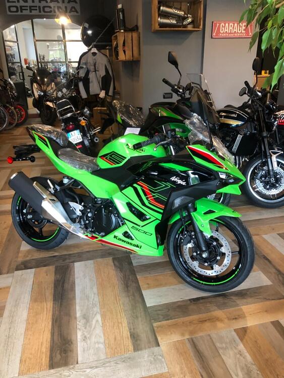 Kawasaki Ninja 500 (2024) (2)