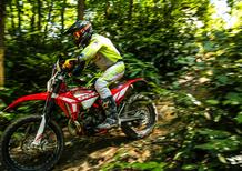 Beccati a fare Enduro nel Parco Regionale del Partenio, tentano la fuga