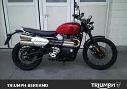 Triumph Scrambler 1200 X (2024) usata