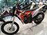 Betamotor Xtrainer 300 2T (2023) (10)